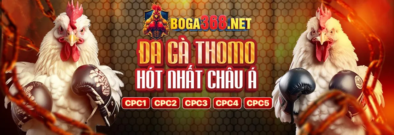 Đăng Nhập sonbet hiện đang mở